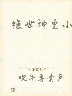 绝世神皇小说版