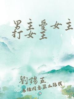 男主爱女主却虐打女主