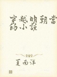 穿越明朝当崇祯的小说