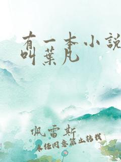 有一本小说主角叫叶凡