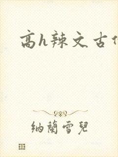 高h辣文古代