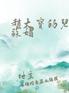 赵大宝的儿媳妇苏媚