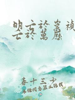 明亡于崇祯,实亡于万历