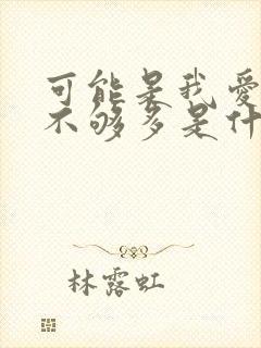 可能是我爱你还不够多是什么歌