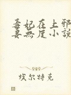 毒妃在上邪王宠妻无度小说