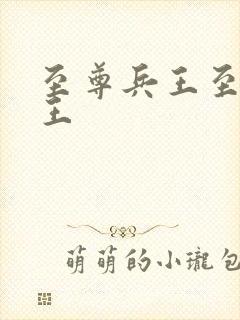 至尊兵王至尊兵王