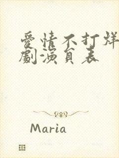 爱情不打烊电视剧演员表