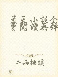 叶天小说全文免费阅读无弹窗