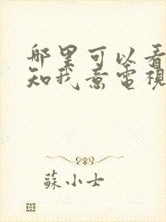 哪里可以看南风知我意电视剧全集