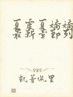 夏震夏娇娇小说最新章节列表