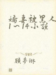 娇妻被黑人伦轩1~14小说