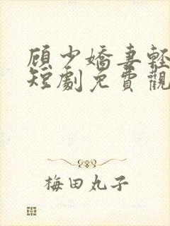 顾少娇妻轻点虐短剧免费观看大结局