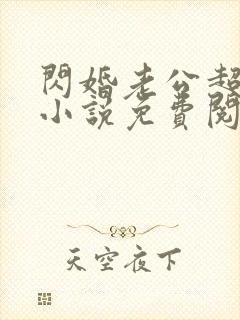 闪婚老公超给力小说免费阅读全文