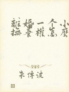 离婚一个小孩子抚养权怎么判定