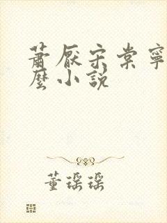 萧厌宋棠宁是什么小说