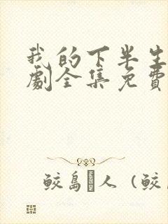 我的下半生电视剧全集免费观看高清