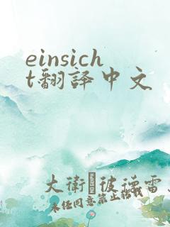 einsicht翻译中文