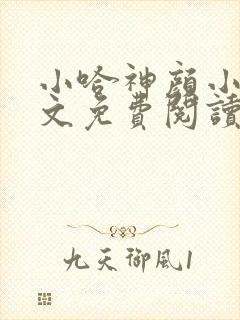 小哈神颜小说全文免费阅读最新章节