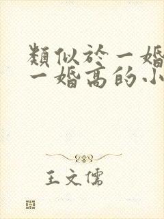 类似于一婚还比一婚高的小说推荐