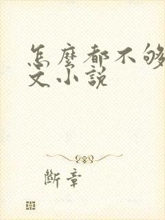 怎么都不够她全文小说