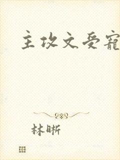 主攻文受宠攻