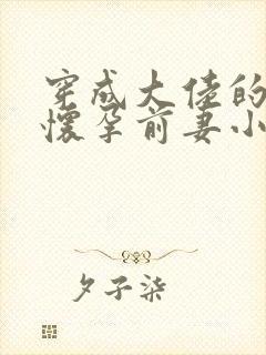 穿成大佬的炮灰怀孕前妻小说