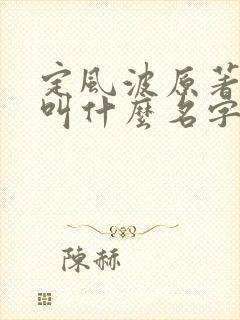 定风波原著小说叫什么名字