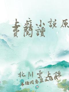 上瘾小说原著免费阅读