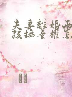 夫妻离婚两个小孩抚养权怎么判定