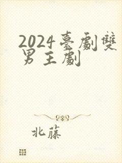 2024台剧双男主剧