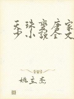 天珠变唐家·三少小说全文免费阅读