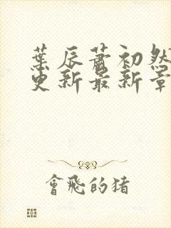 叶辰萧初然刚刚更新最新章节2071