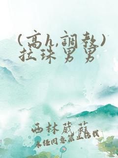 (高h,调教)拉珠男男