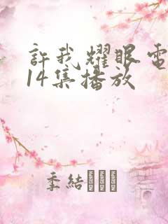 许我耀眼电视剧14集播放