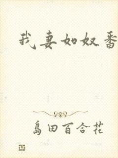我妻如奴番外篇