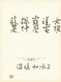 苏总霸道女总裁是什么电视剧