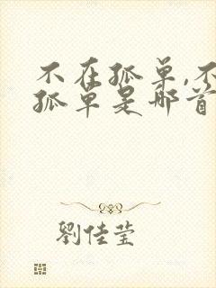 不在孤单,不在孤单是哪首歌的歌词