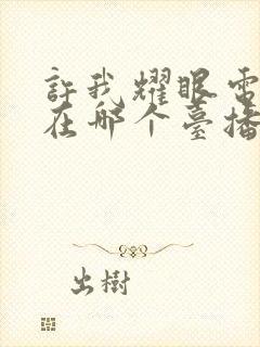 许我耀眼电视剧在哪个台播出