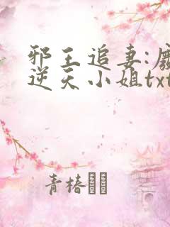 邪王追妻:废材逆天小姐txt