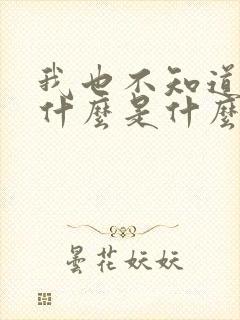 我也不知道爱你什么是什么歌