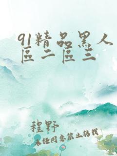 91精品黑人一区二区三