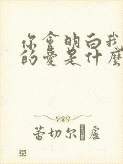 你会明白我给你的爱是什么歌