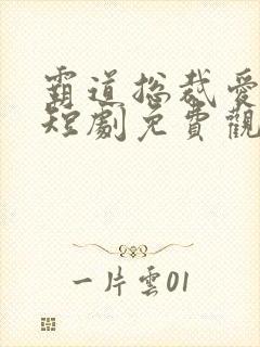 霸道总裁爱上我短剧免费观看全集