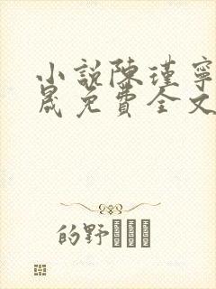 小说陈瑾宁李良晟免费全文阅读一