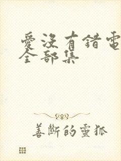 爱没有错电视剧全部集