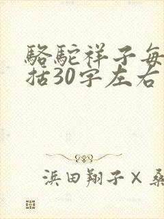 骆驼祥子每章概括30字左右