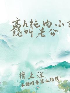 高h纯肉小说求饶叫老公