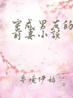穿成男友的炮灰前妻小说