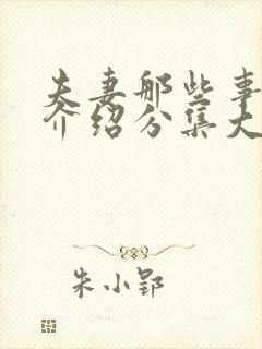 夫妻那些事剧情介绍分集大结局