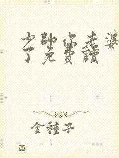 少帅你老婆又跑了免费读